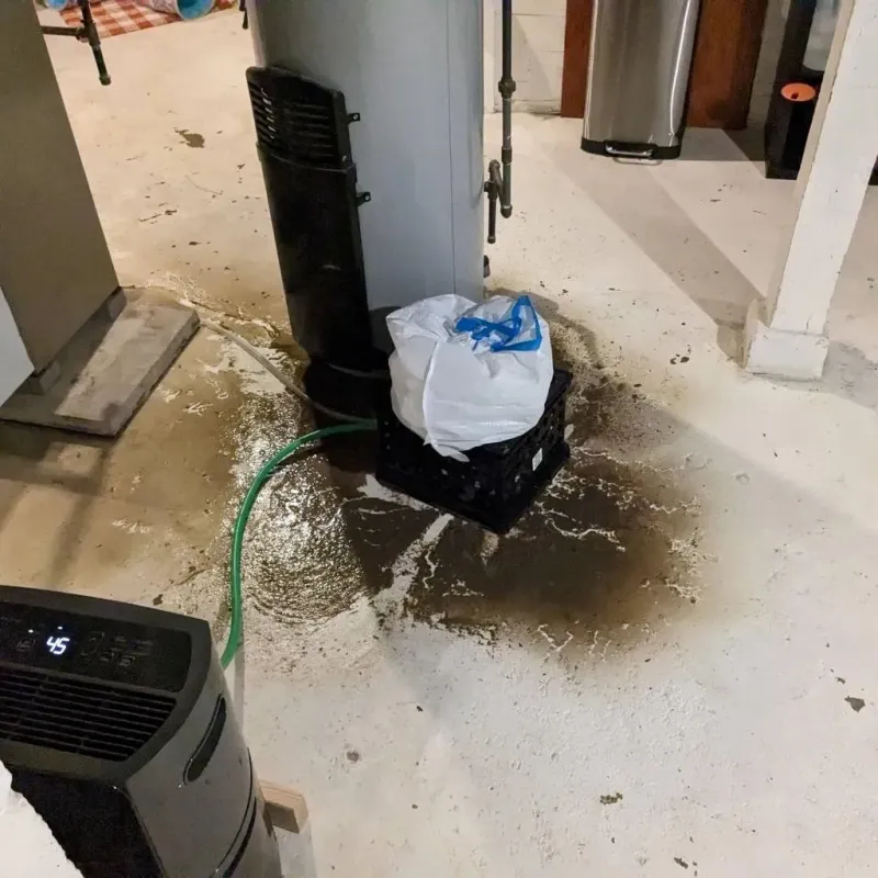 Sewage Backup Cleanup Service in Monticello, MO